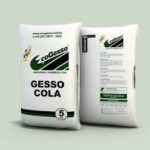 gesso cola